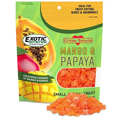 Exotic Nutrition Mango Papaya Ödül Maması 4.5 oz