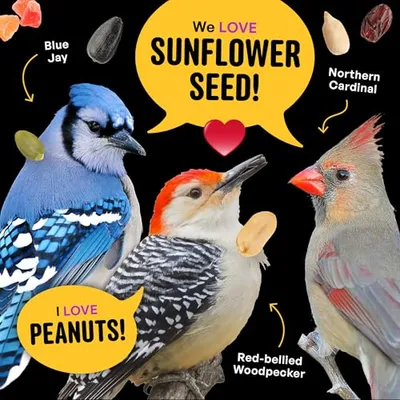 Thumbnail 8 of COOL BIRDS Kuruyemiş ve Meyve Yabani Kuş Yemi 10 lb