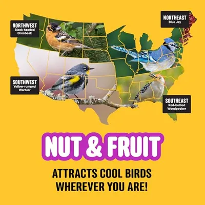 Thumbnail 11 of COOL BIRDS Kuruyemiş ve Meyve Yabani Kuş Yemi 10 lb