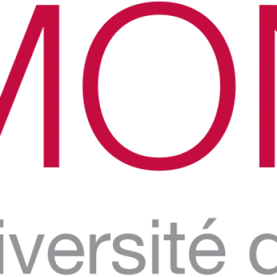 Mons Üniversitesi