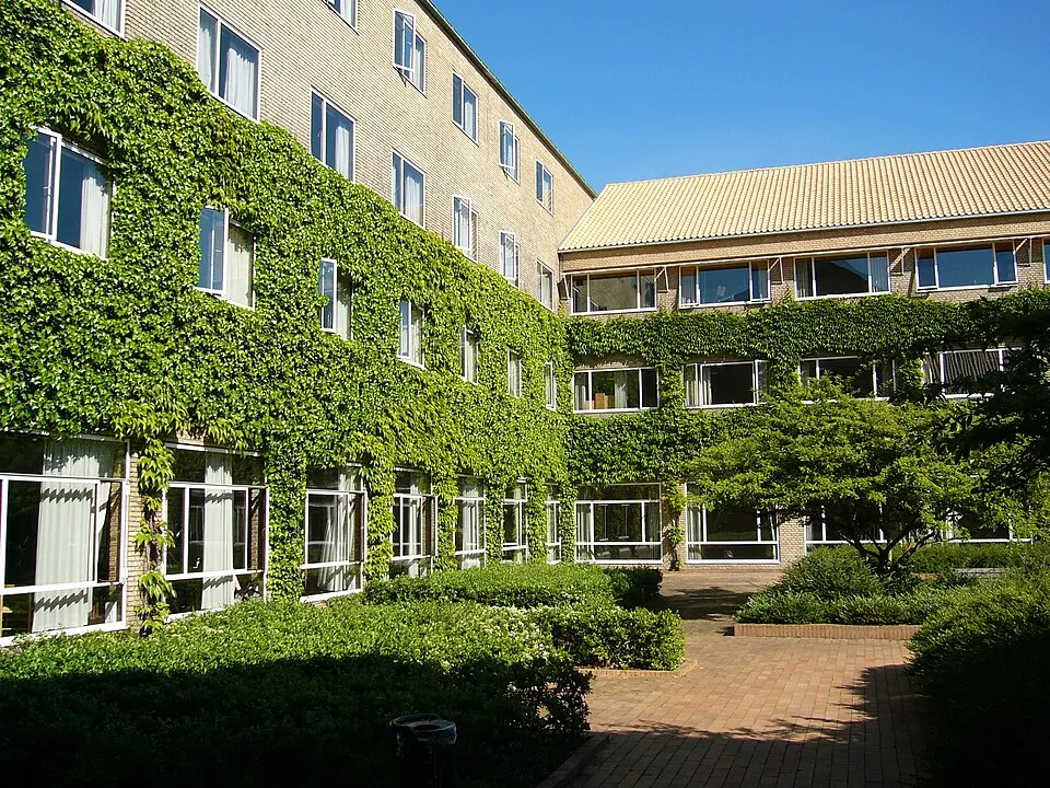 Resim Aarhus Üniversitesi