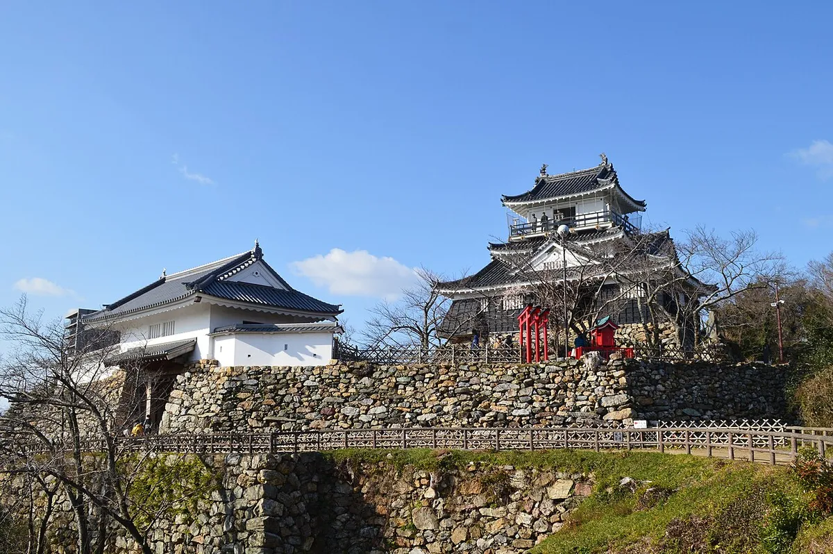 Resim Hamamatsu
