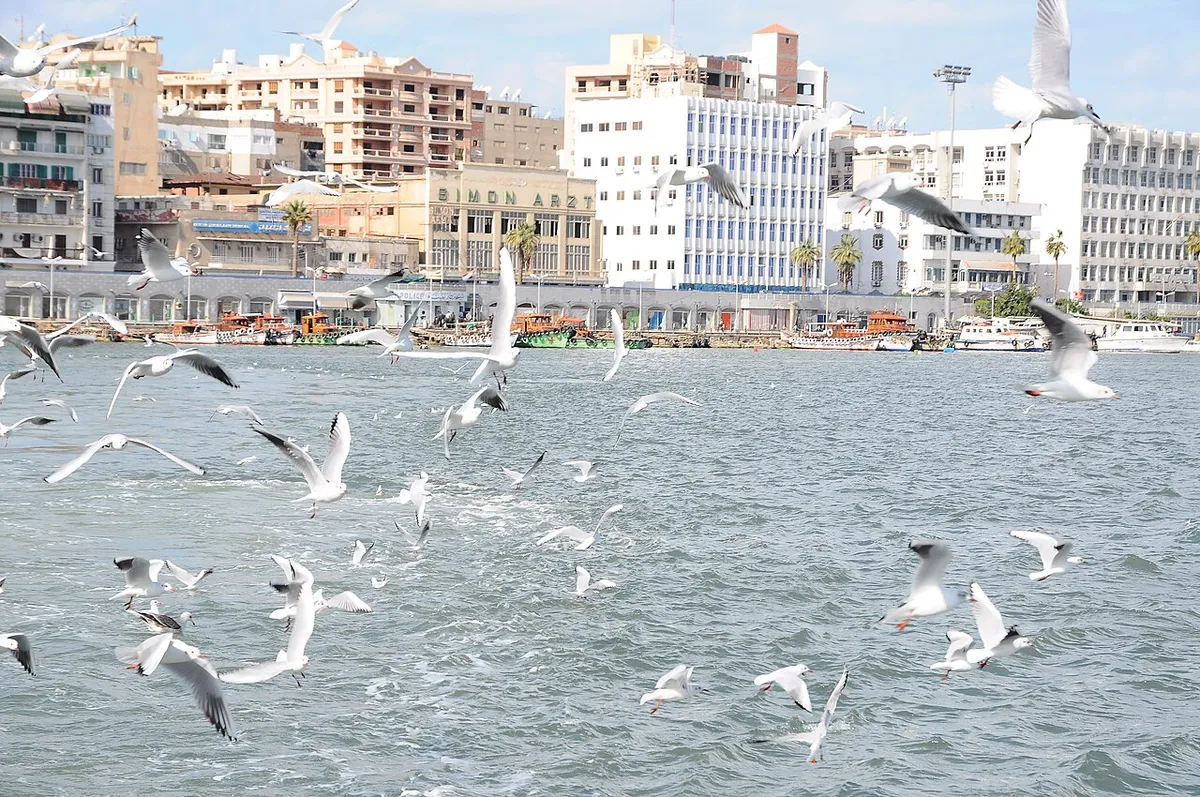 Resim Port Said