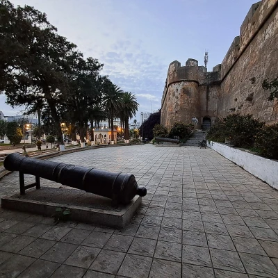 El-Arayiş