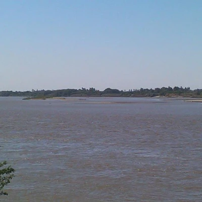 Rabak