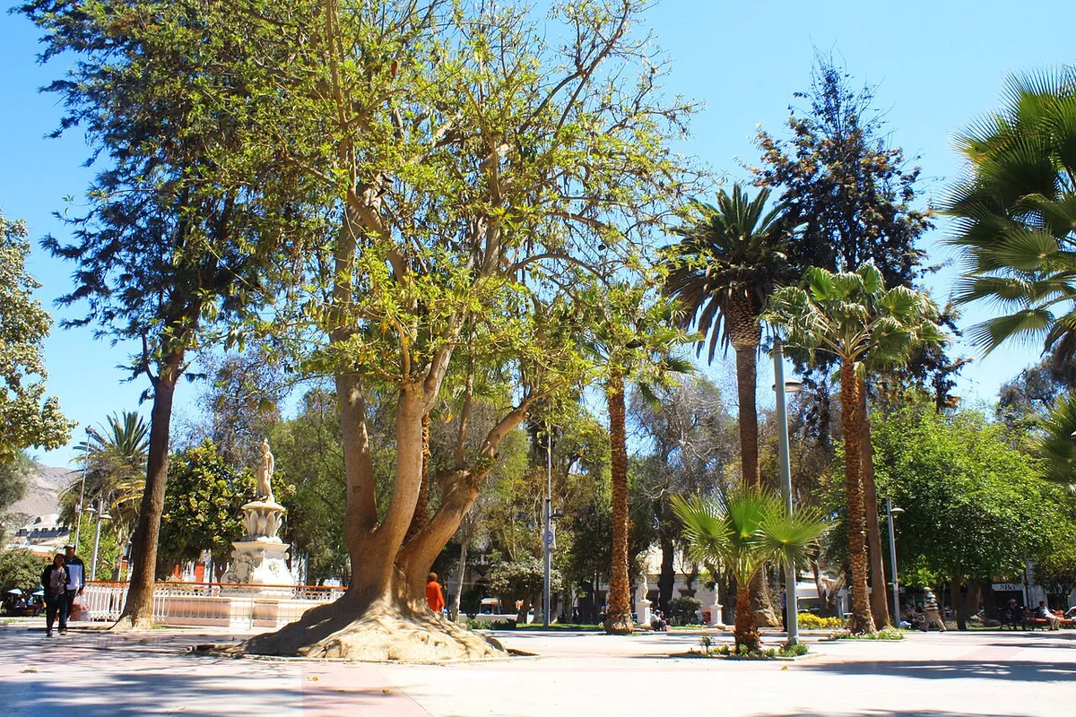 Resim Copiapó