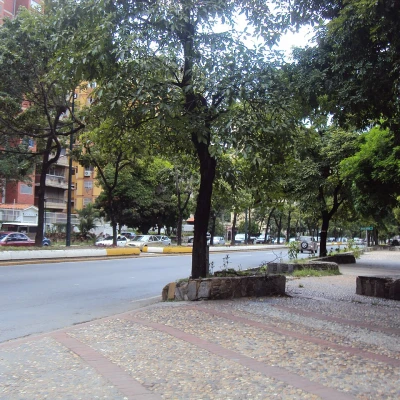 El Cafetal