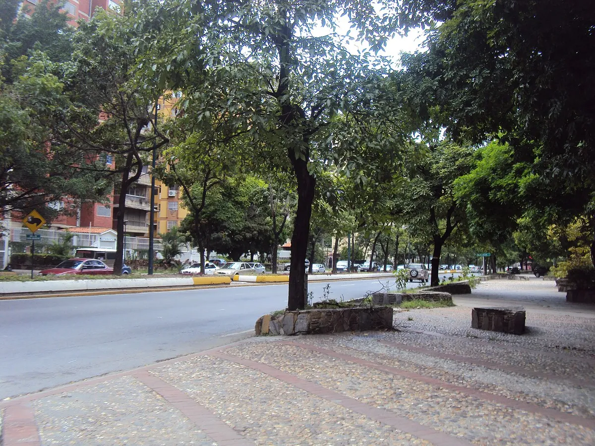 Resim El Cafetal